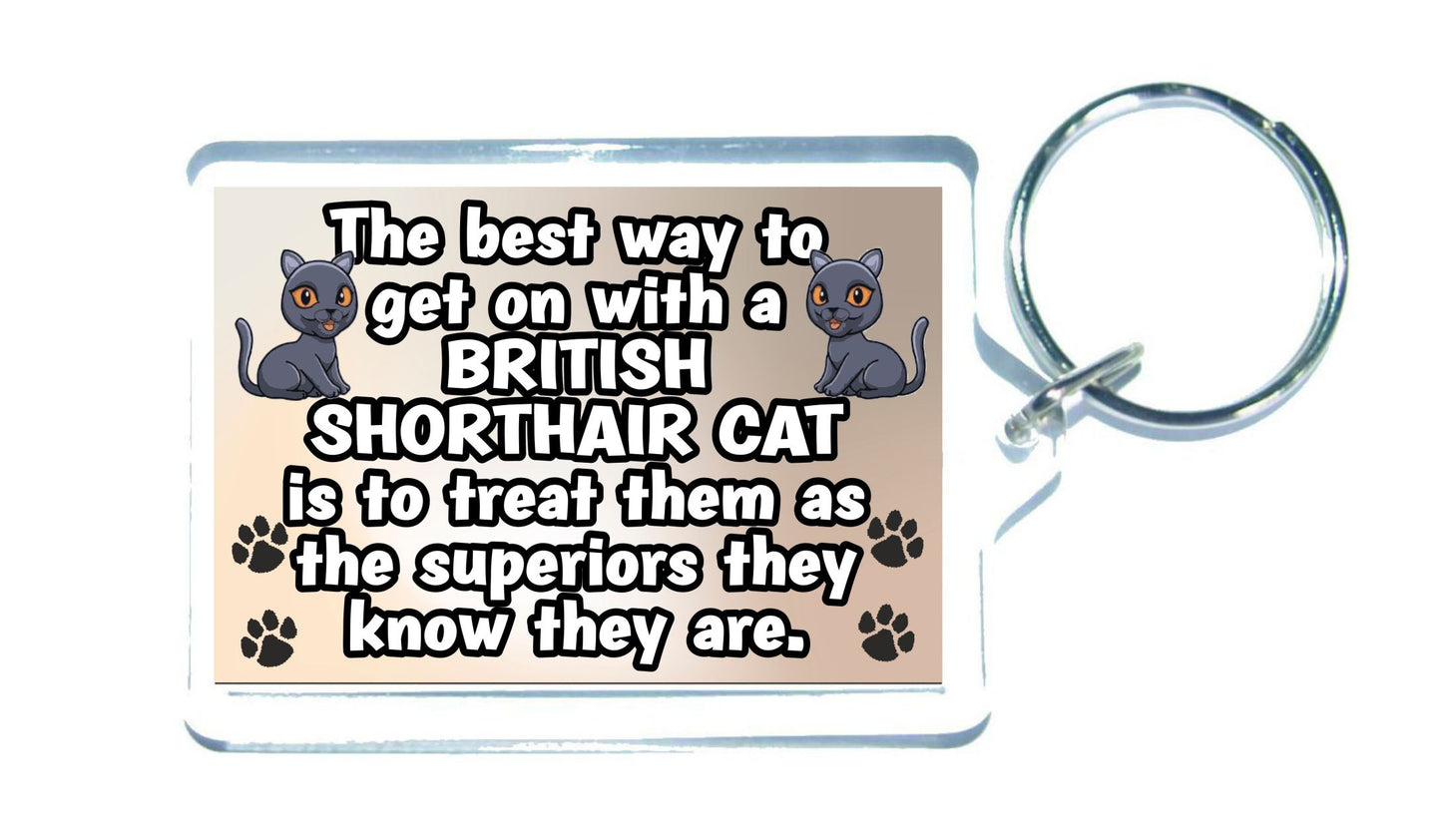 British Shorthair Cat Keyring Gift -The best Way To Get On With A - Novelty Fun Cute Pet Owner Present