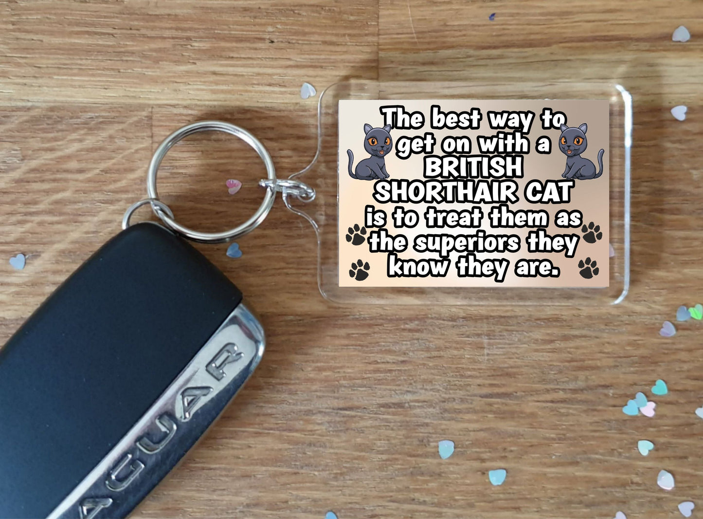 British Shorthair Cat Keyring Gift -The best Way To Get On With A - Novelty Fun Cute Pet Owner Present