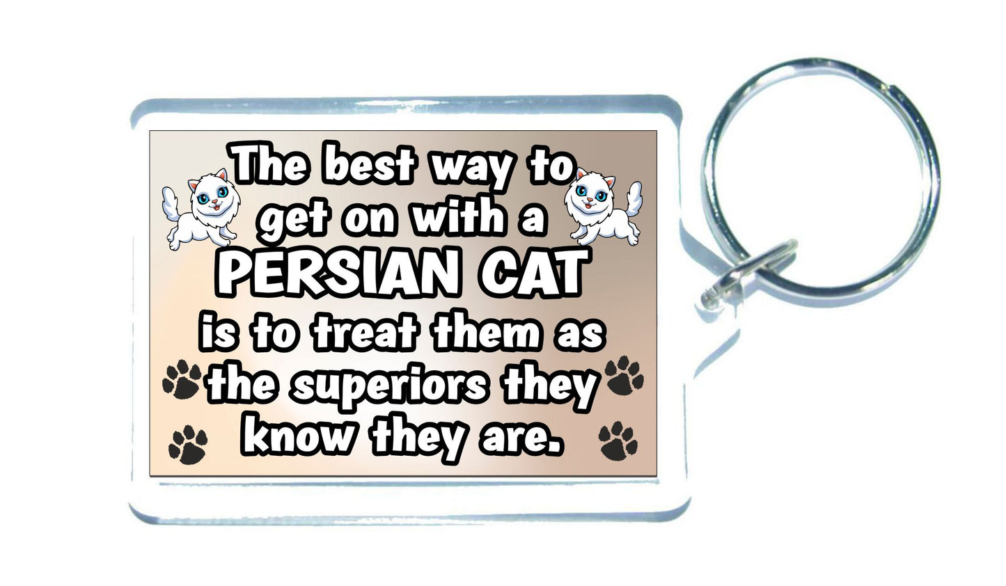 Persian Cat Keyring Gift -The best Way To Get On With A - Novelty Fun Cute Pet Owner Present