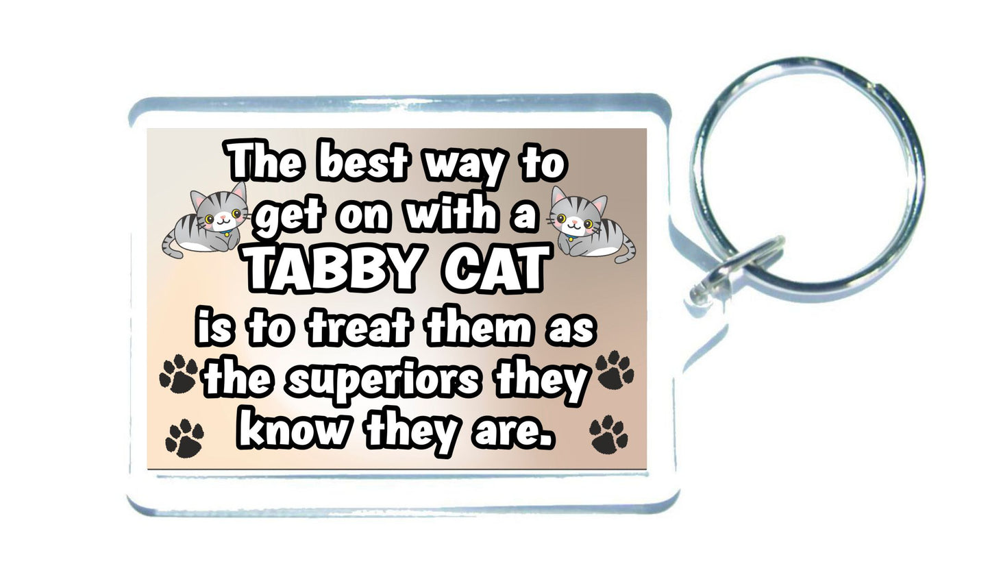 Tabby Cat Keyring Gift -The best Way To Get On With A - Novelty Fun Cute Pet Owner Present