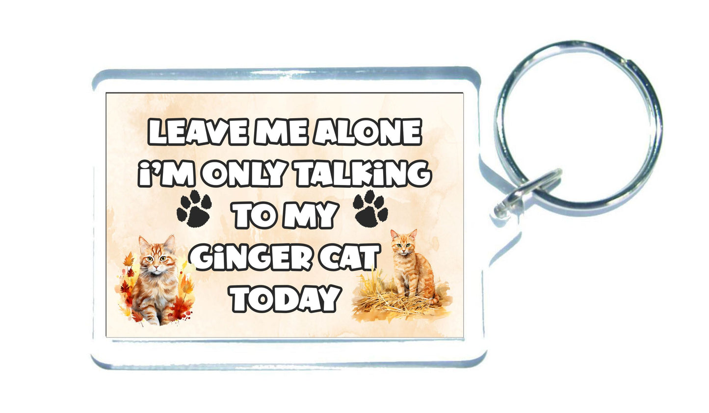 Cat Keyring Gift - Leave Me Alone I'm Only Talking To My Ginger Cat Today - Fun Cute Novelty Animal Present