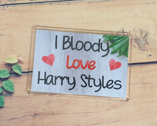 Harry Styles Fridge Magnet Gift - I Bloody Love Harry Styles - Funny Cute Birthday Novelty Present