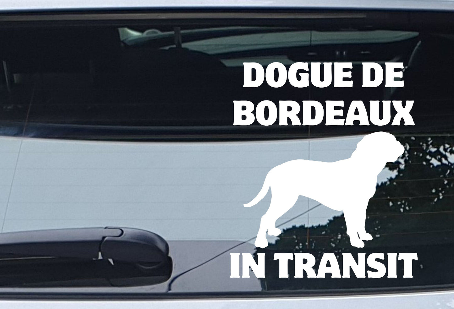 Car Sticker Dogue De Bordeaux In Transit Nice Fun Cute Novelty Warning Van Window Bumper Boot Door Decal