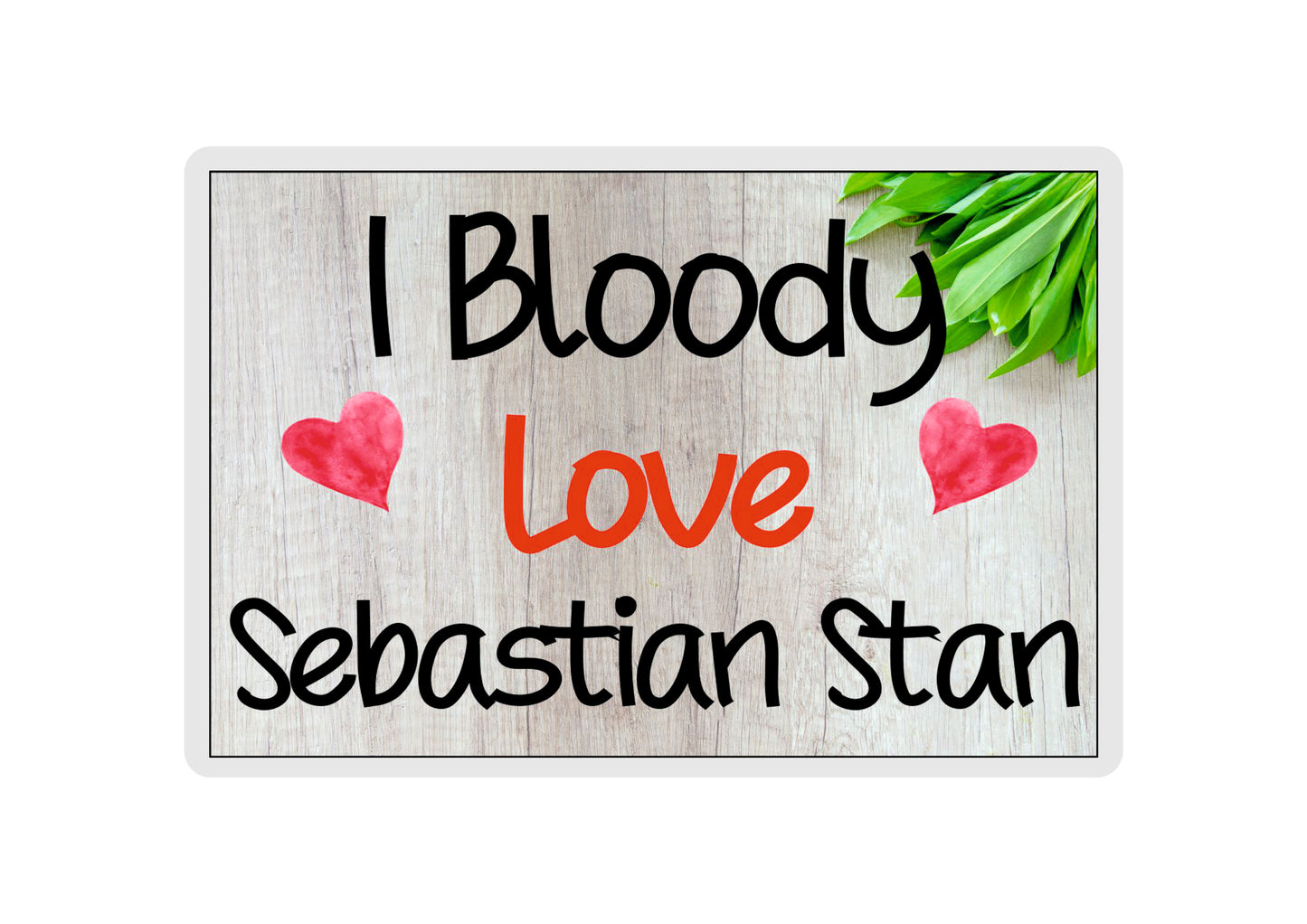 Sebastian Stan Fridge Magnet Gift - I Bloody Love Sebastian Stan - Funny Cute Birthday Novelty Present
