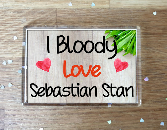 Sebastian Stan Fridge Magnet Gift - I Bloody Love Sebastian Stan - Funny Cute Birthday Novelty Present