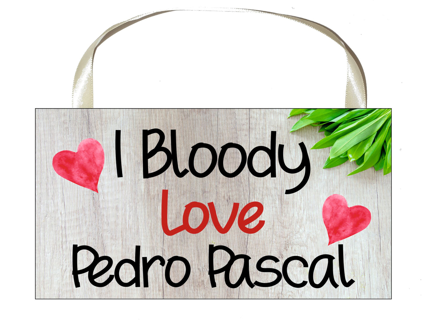 Pedro Pascal Plaque Gift - I Bloody Love Pedro Pascal - Fun Novelty Birthday Present