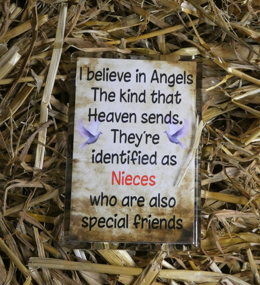 Niece Fridge Magnet Gift - I Believe In Angels The Kind That Heaven Sends - Fun Cute Birthday Novelty Present