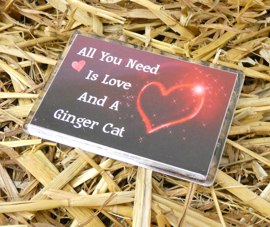 Ginger Cat Gift Fridge Magnet - All You Need Is Love & A Ginger Cat - Nice Fun Cute Pet Lover Xmas Birthday Present