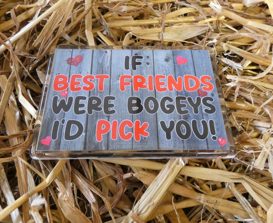 Best Friend Fridge Magnet - If Best Friends Were Bogeys I'd Pick You - Funny Rude Cheeky Cute Novelty Present