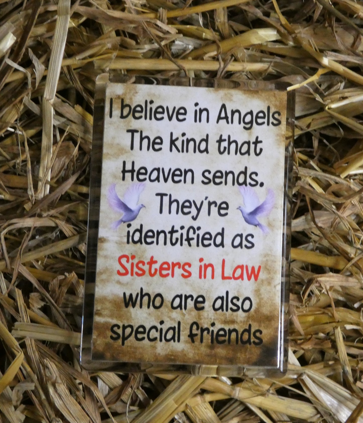 Sister in Law Fridge Magnet Gift - I Believe In Angels The Kind That Heaven Sends - Fun Cute Birthday Novelty Present