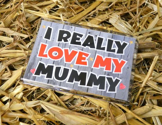 Mummy Gift Fridge Magnet - I Really Love My Mummy - Nice Fun Cute Novelty Love Birthday Christmas Present