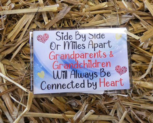 Grandparents Grandchildren Fridge Magnet - Side By Side Or Miles Apart - Novelty Love Gift - Fun Birthday Christmas Present
