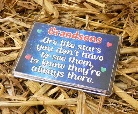 Grandson Gift Fridge Magnet - Grandsons Are Like Stars - Nice Fun Cute Novelty Present