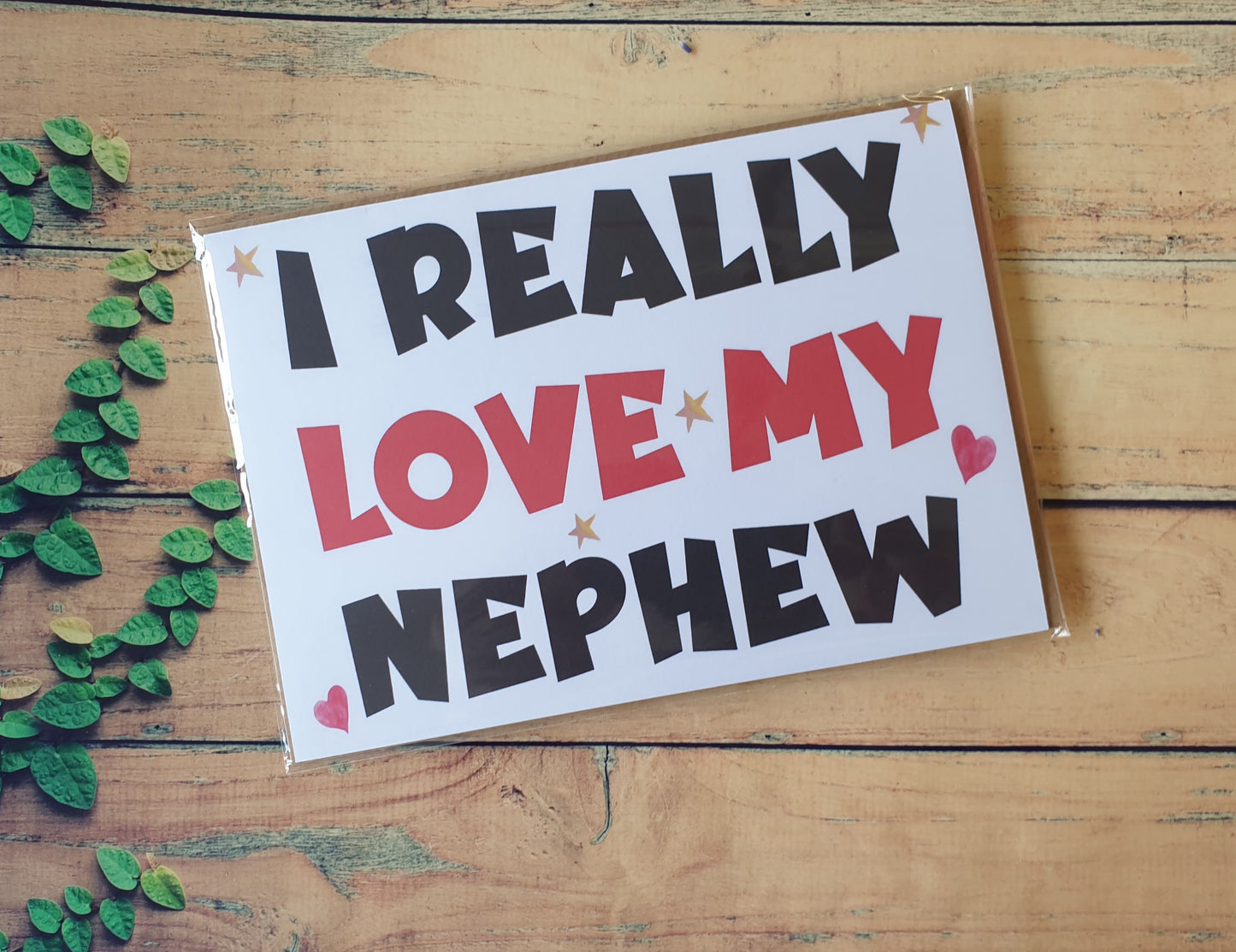 Nephew Birthday Card - I Really Love My Nephew - Nice Cute Novelty Greetings Card