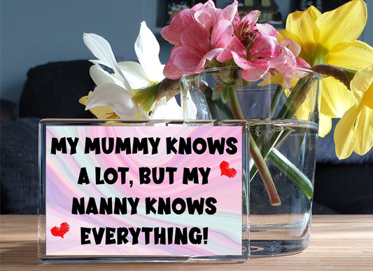 Mum Nanny Fridge Magnet Gift - Mummy Knows A Lot Nanny Knows Everything - Cute Cheeky Birthday Novelty Present