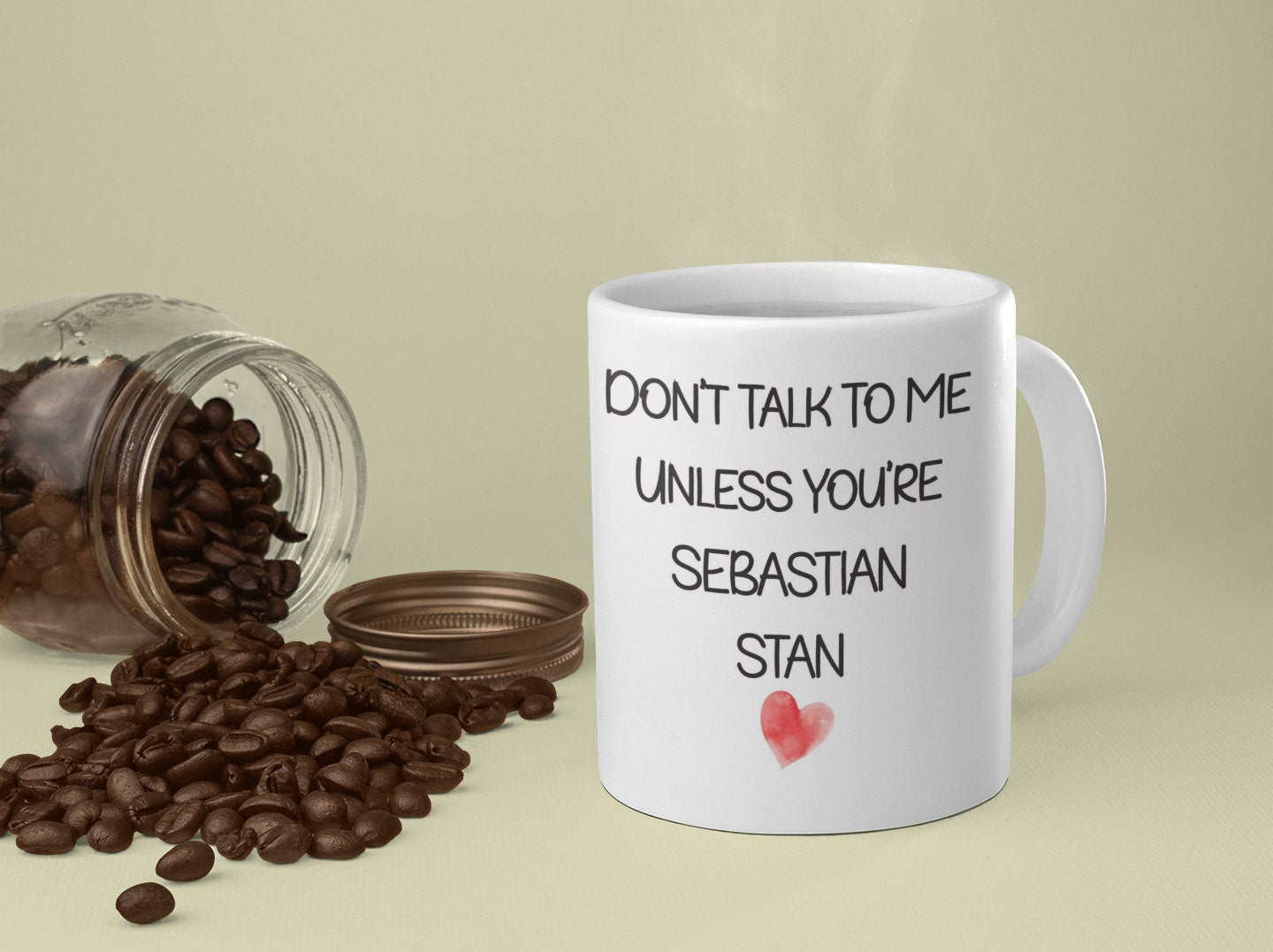 Sebastian Stan Mug Gift - Don't Talk To Me Unless You're Sebastian Stan - Novelty Movie Fan Thirst Cup