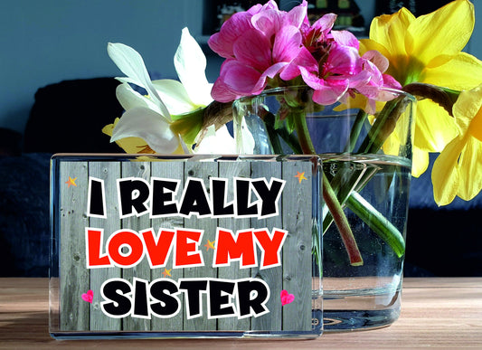 Sister Fridge Magnet Gift - I Really Love My Sister - Fun Loving Novelty Cute Present