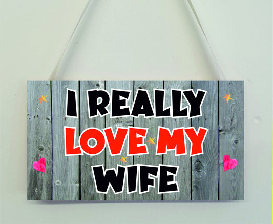 Wife Fun Plaque - I Really Love My Wife - Novelty Plaque - Birthday Christmas Gift Present