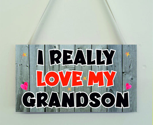 Grandson Fun Plaque - I Really Love My Grandson - Novelty Plaque - Birthday Christmas Gift Present