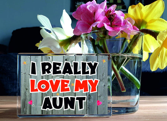 Aunt Fridge Magnet - I Really Love My Aunt - Novelty Love Gift - Fun Birthday Christmas Present