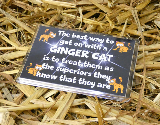 Ginger Cat Gift Fridge Magnet - The Best Way To Get Along - Nice Fun Cute Pet Lover Xmas Birthday Present