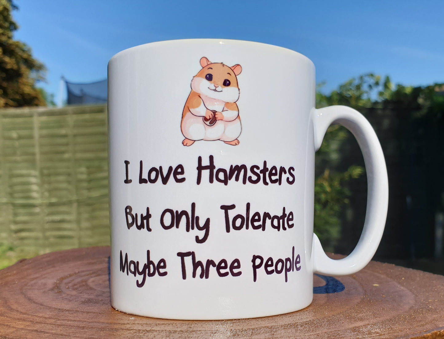 Hamster Mug Gift - I Love Hamsters But Only Tolerate Maybe Three People - Novelty Cute Funny Pet Owner Cup Present