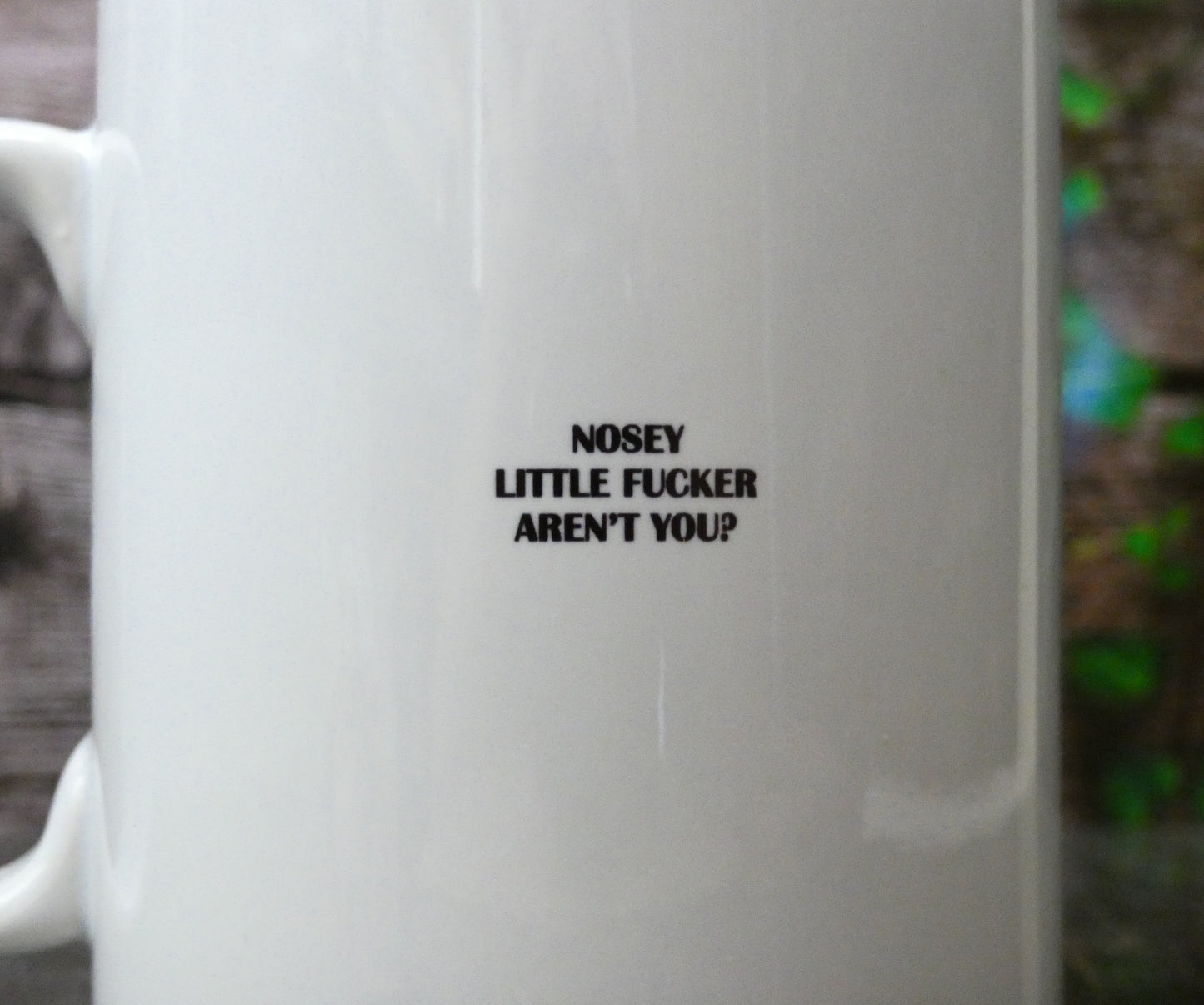 Rude Mug Gift - Nosey Little Fucker Aren't You? - Funny Novelty Joke Adult Cup Present