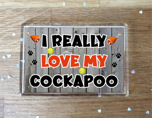 Cockapoo Fridge Magnet Gift - I Really Love My - Cute Novelty Fun Dog Owner Present
