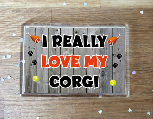 Corgi Fridge Magnet Gift - I Really Love My - Cute Novelty Fun Dog Owner Present