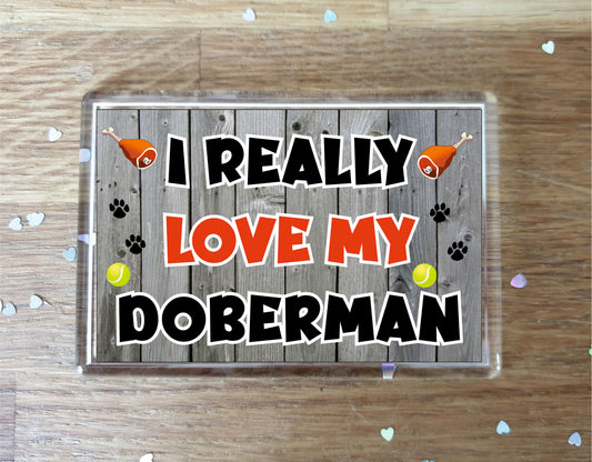 Doberman Fridge Magnet Gift - I Really Love My - Cute Novelty Fun Dog Owner Present