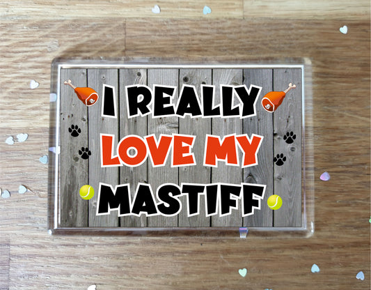 Mastiff Fridge Magnet Gift - I Really Love My - Cute Novelty Fun Dog Owner Present