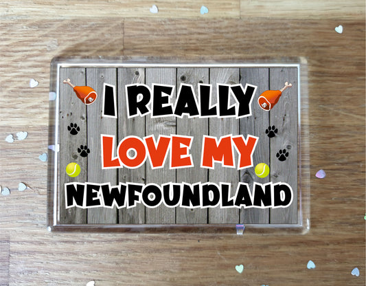 Newfoundland Fridge Magnet Gift - I Really Love My - Cute Novelty Fun Dog Owner Present