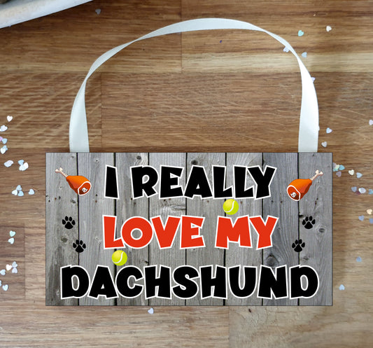 Dachshund Plaque Gift - I Really Love My - Cute Novelty Fun Dog Owner - Pet Lover Sign Present