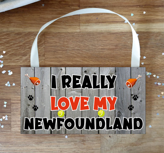 Newfoundland Plaque Gift - I Really Love My - Cute Novelty Fun Dog Owner - Pet Lover Sign Present
