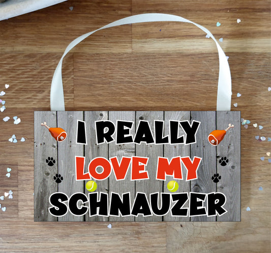 Schnauzer Plaque Gift - I Really Love My - Cute Novelty Fun Dog Owner - Pet Lover Sign Present