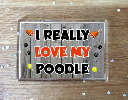 Poodle Fridge Magnet Gift - I Really Love My - Cute Novelty Fun Dog Owner Present