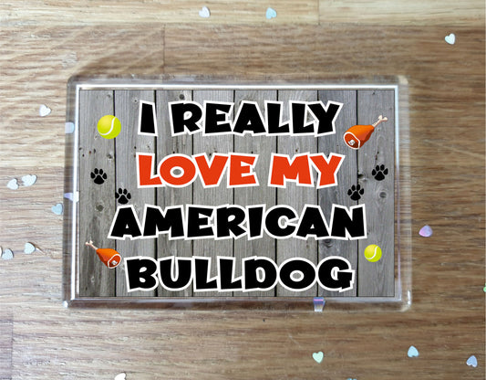 American Bulldog Fridge Magnet Gift - I Really Love My - Cute Novelty Fun Dog Owner Present
