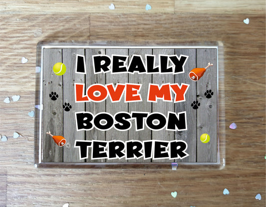 Boston Terrier Fridge Magnet Gift - I Really Love My - Cute Novelty Fun Dog Owner Present