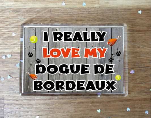 Dogue De Bordeaux Fridge Magnet Gift - I Really Love My - Cute Novelty Fun Dog Owner Present