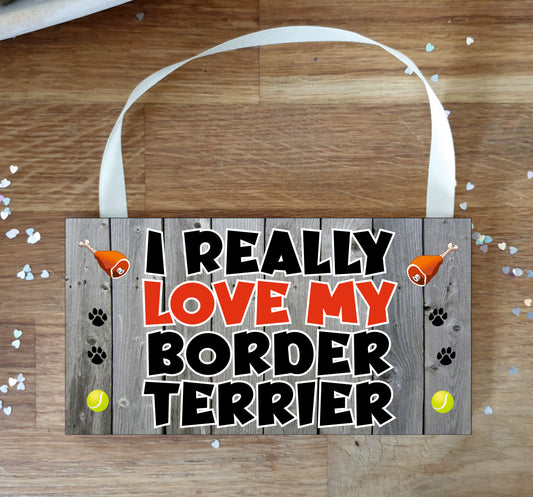 Border Terrier Plaque Gift - I Really Love My - Cute Novelty Fun Dog Owner Lover Sign Present