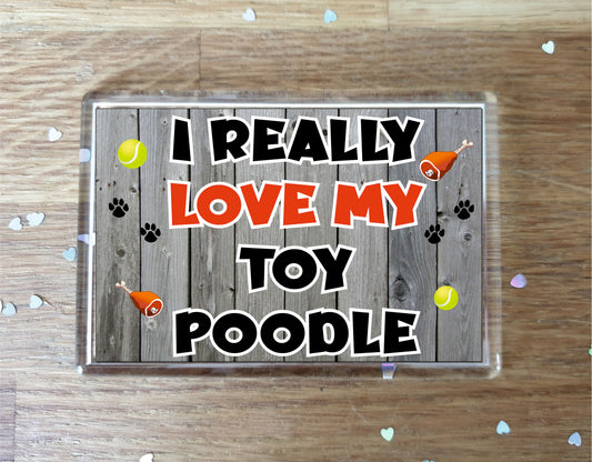 Toy Poodle Fridge Magnet Gift - I Really Love My - Cute Novelty Fun Dog Owner Present