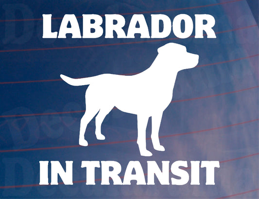 Car Sticker Labrador In Transit Nice Fun Cute Novelty Warning Van Window Bumper Boot Door Decal
