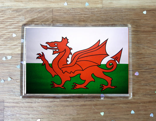 Wales Flag Fridge Magnet Gift - Cute Welsh Novelty Birthday Present